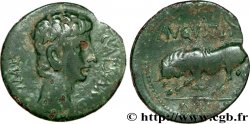 CENTER, UNSPECIFIED Bronze au taureau, (semis ou quadrans)