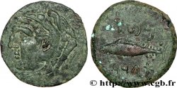 ESPAGNE - GADIR/GADES (Provincia of Cadiz) Calque de bronze à la tête de Melqart et au thon