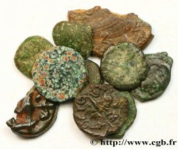 GAULE BELGIQUE - CELTIQUE Lot de 9 bronzes variés et 1 demi potin