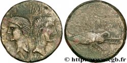 NEMAUSUS - NIMES - AUGUSTUS and AGRIPPA Dupondius COL NEM - Agrippa barbu