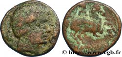 HISPANIA - ILERGETES - ILTIRTA (Provincia di Lerida) Unité de bronze au cavalier ou as