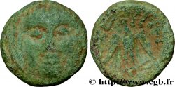 SEGUSIAVI / ÆDUI, Incerti (Regione di Feurs (Forez) / Mont-Beuvray)
Bronze SECISV à la tête de face