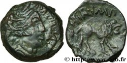 REMI / CARNUTES, Unspecified Bronze AOIIDIACI / A.HIR.IMP au lion