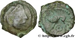 VELIOCASSES (Region die Normandie Bronze au sanglier de Saint-André-sur-Cailly