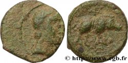 GALLIA - SÜWESTGALLIEN - PETROCORII (Region die Périgueux) Bronze LVCCIOS au sanglier