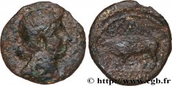 GALLIA BELGICA - REMI (Area of Reims) Bronze GERMANVS INDVTILLI au taureau (Quadrans)