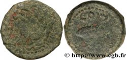 HISPANIA - GADIR/GADES (Province de Cadiz) Calque de bronze à la tête de Melqart et au thon