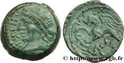 CARNUTES (Région de la Beauce) Bronze PIXTILOS classe I au griffon attaquant TTB+