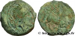 GALLIA - CARNUTES (Regione della Beauce) Bronze PIXTILOS classe VI au griffon courant