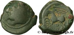 GALLIA BELGICA - SUESSIONES (Regione de Soissons) Bronze CRICIRV, barbu