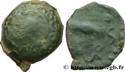 GALLIA BELGICA - MELDI (Area of Meaux) Bronze à l’aigle et au sanglier, classe I