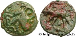 GALLIA - CARNUTES (Regione della Beauce) Bronze au loup, tête à droite