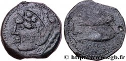 HISPANIA - GADIR/GADES (Province de Cadiz) Calque de bronze à la tête de Melqart et aux poissons