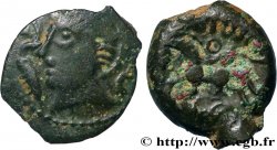 PAGUS CATUSLUGI - Sanctuaire de BOIS L ABBÉ (Seine-Maritime) Bronze VIIRICIVS, classe I