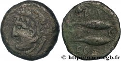 HISPANIA - GADIR/GADES (Province de Cadiz) Calque de bronze à la tête de Melqart et aux poissons