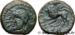 GALLIA - CARNUTES (Area of the Beauce) Bronze PIXTILOS classe IX au lion AU