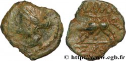 NEMAUSUS - NÎMES Bronze au sanglier NAMA SAT