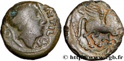 CARNUTES (Région de la Beauce) Bronze PIXTILOS classe VI au griffon courant