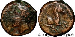 SICILE - PANORME Hexas