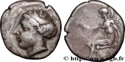 BRUTTIUM - TÉRINA Nomos, statère ou didrachme