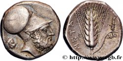LUCANIA - METAPONTION Nomos, statère ou didrachme