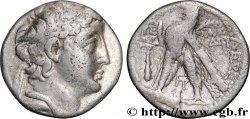 SYRIA - SELEUKID KINGDOM - DEMETRIUS II NIKATOR Tétradrachme