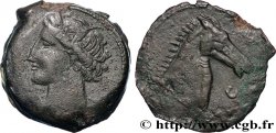 ZEUGITANA - CARTHAGE Double Shekel