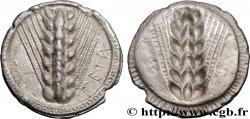 LUCANIA - METAPONTUM Nomos, statère ou didrachme