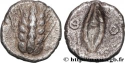 LUCANIA - METAPONTUM Diobole