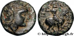 ASIA MINOR Unité