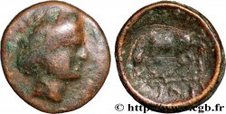 THESSALY - LARISSA Dichalque