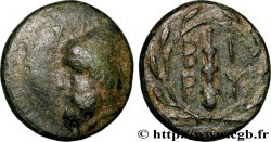 TROAS - BIRYTIS Quart d’unité