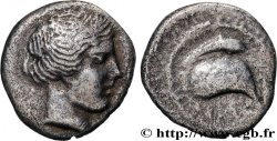 CAMPANIE - CUMES Nomos, didrachme ou statère