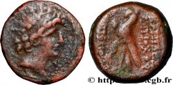 SYRIE - ROYAUME SÉLEUCIDE - ANTIOCHUS VIII GRYPUS Unité