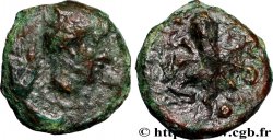 SICILE - SYRACUSE Tetras