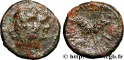 SICILY - LEONTINOI Trias