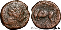 SICILY - SYRACUSE Litra