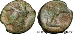 ZEUGITANA - CARTHAGE Shekel
