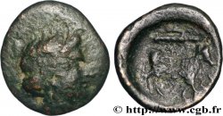 CAMPANIA - NEAPOLIS Demi-unité