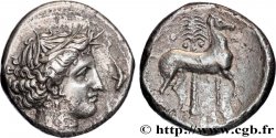 SICILE - SICULO-PUNIQUES - CÉPHALOÉDIUM Tétradrachme