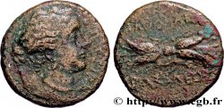 SICILY - SYRACUSE Litra
