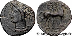 ZEUGITANE - CARTHAGE Unité