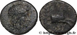 IONIE - COLOPHON Demi-unité