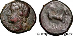 SICILE - SYRACUSE Litra