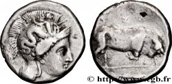 LUCANIA - THOURIOI Nomos, statère ou didrachme