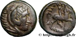 MACEDONIA - MACEDONIAN KINGDOM - CASSANDER Unité