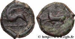 SICILE - ALAISA (KAINON) Hemilitron