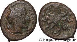SICILE - SYRACUSE Tetras
