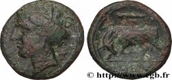 SICILE - SYRACUSE Litra