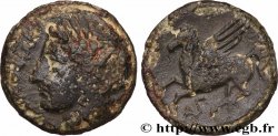 SICILE - SYRACUSE Hemilitron